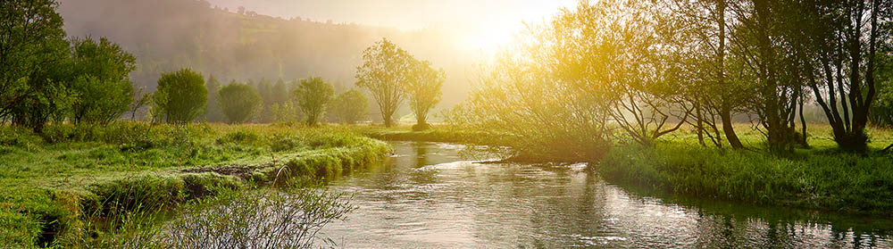 Ein kleiner Fluss mit Wiesen und Ufergehölzen